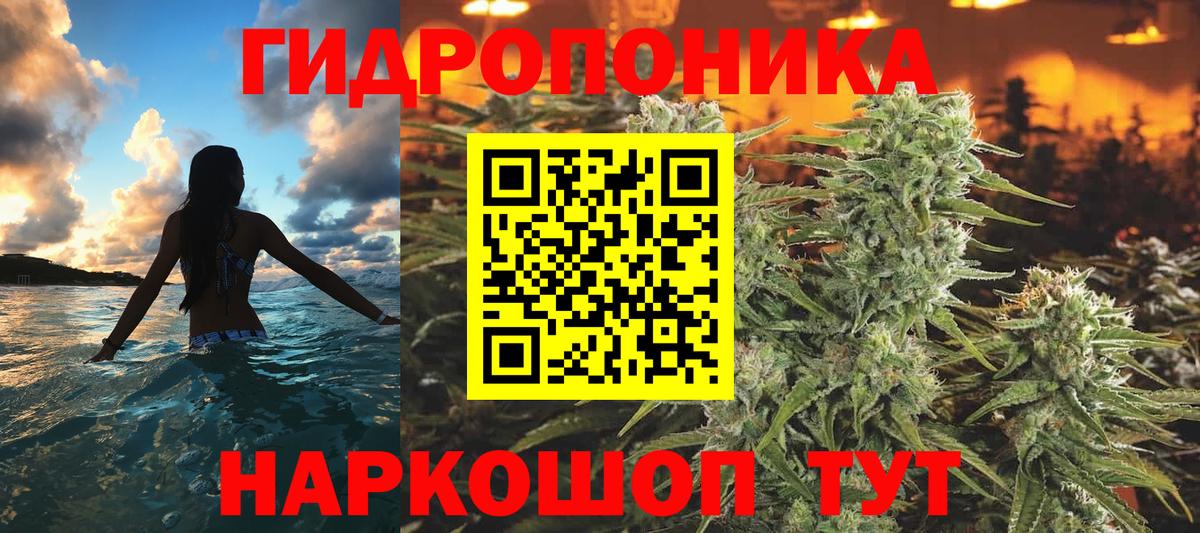 Канабис план Ленинск-Кузнецкий